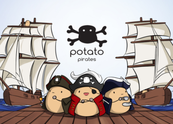 An interview with Codomo