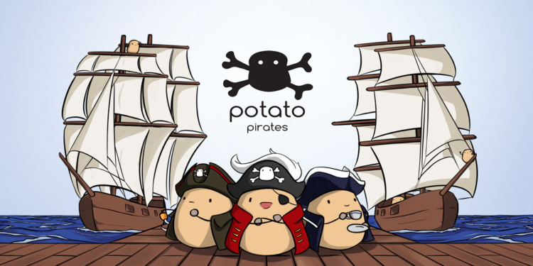 An interview with Codomo