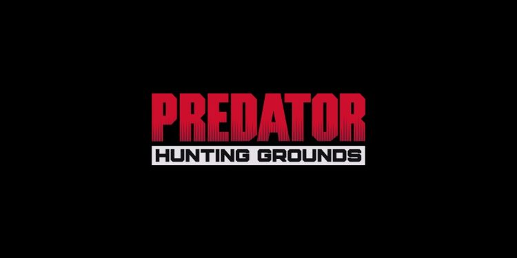What’s Predator Hunting Grounds about?