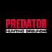 What’s Predator Hunting Grounds about?