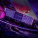 Western Digital Amps Up Its WD_BLACK Gaming Portfolio with Two New SSD Solutions
