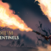 REMEDIUM: Sentinels Review