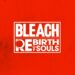 Bleach Rebirth of Souls
